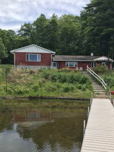 Photo of Dan's shoreline on Squash Lake
