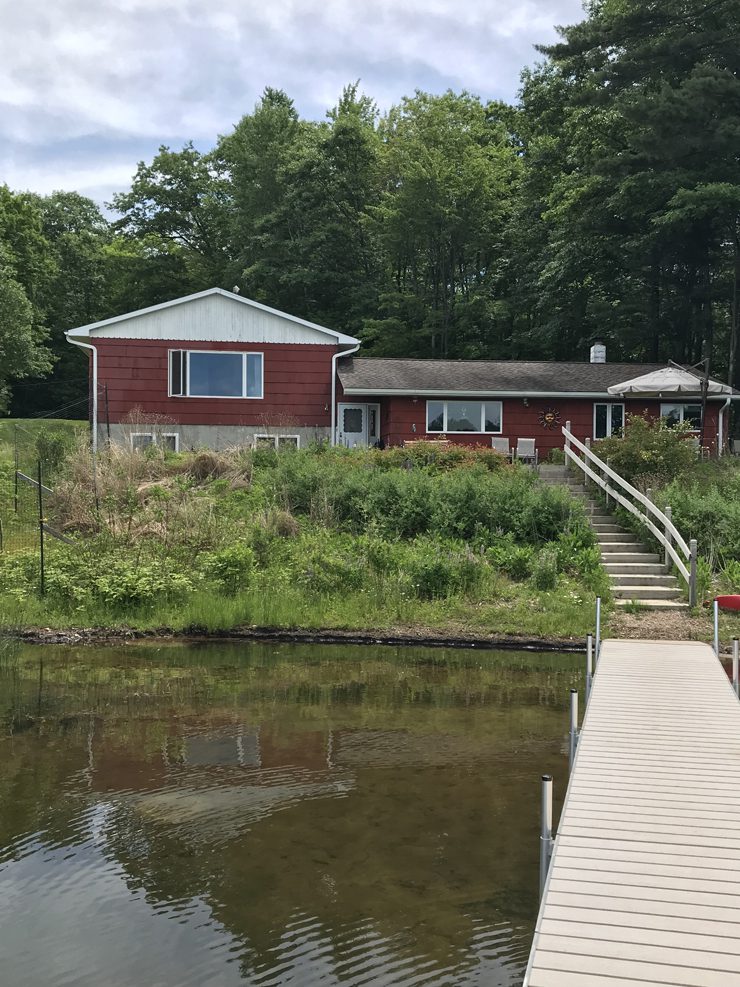 Photo of Dan's shoreline on Squash Lake